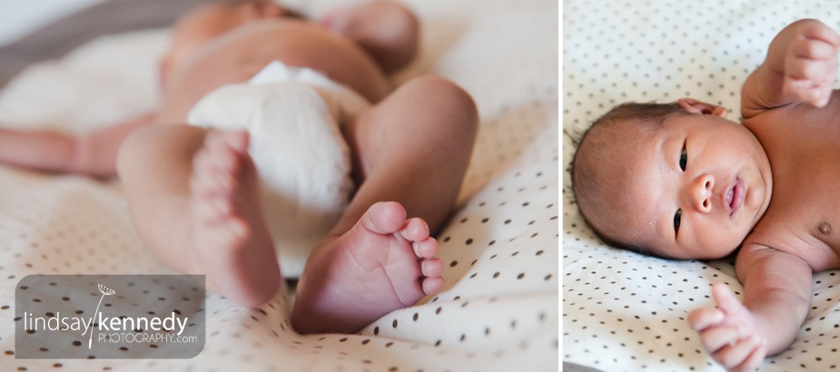 Seattle Newborn Photography Aston 03.jpg