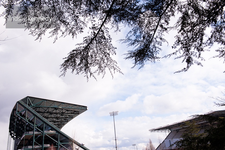 Husky Stadium.jpg