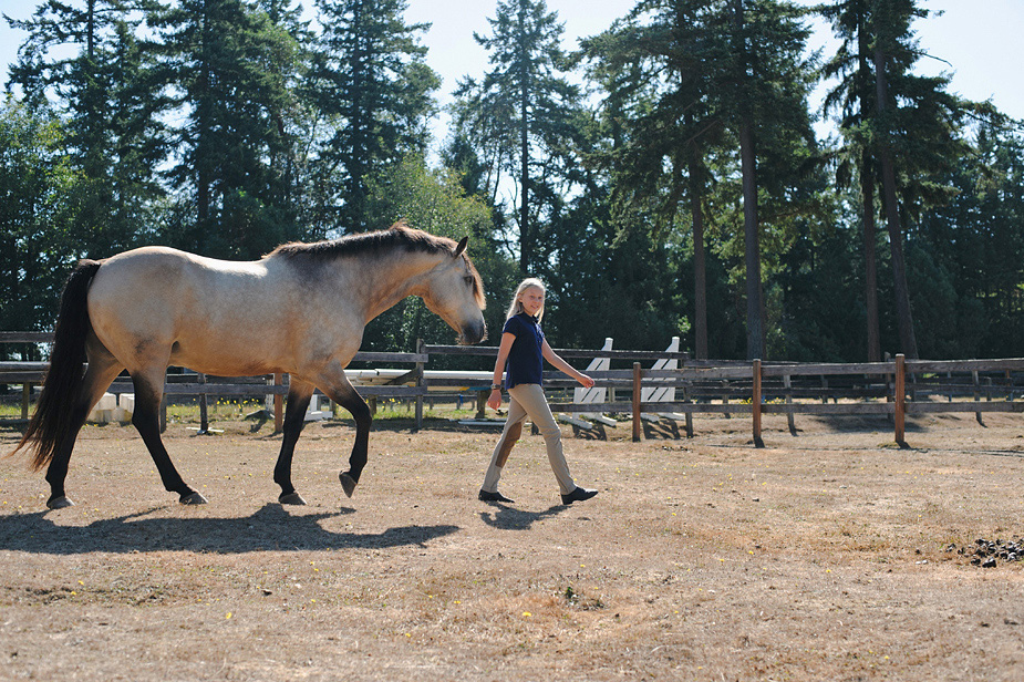 Vashon Island Lifestyle Photographer17