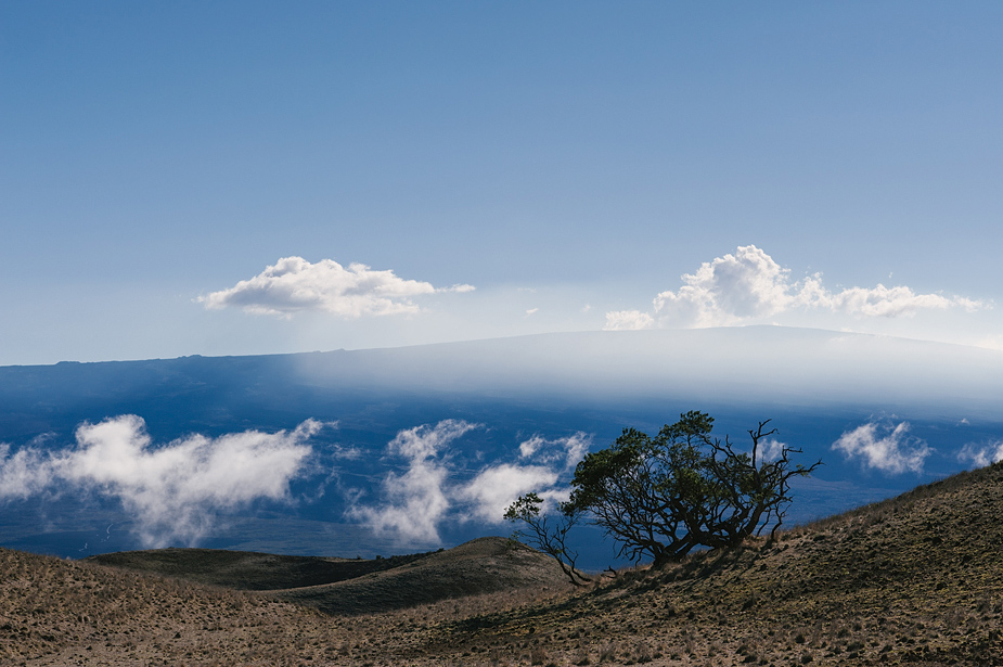 Kona Hawaii Lifestyle Photographer Year in Review 29